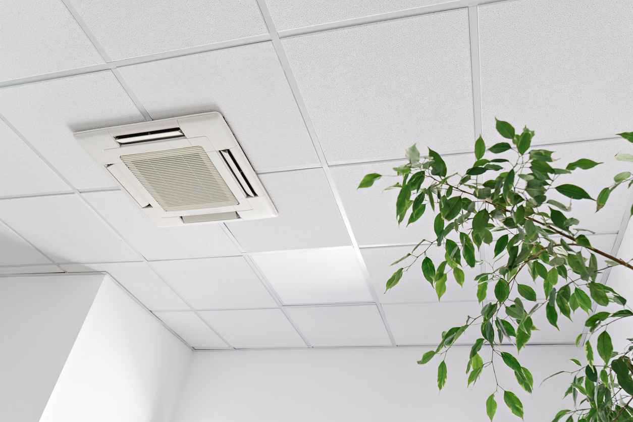 Cassette air conditioner on ceiling in modern light office or apartment with green ficus plant leaves. Indoor air quality and clean filters concept